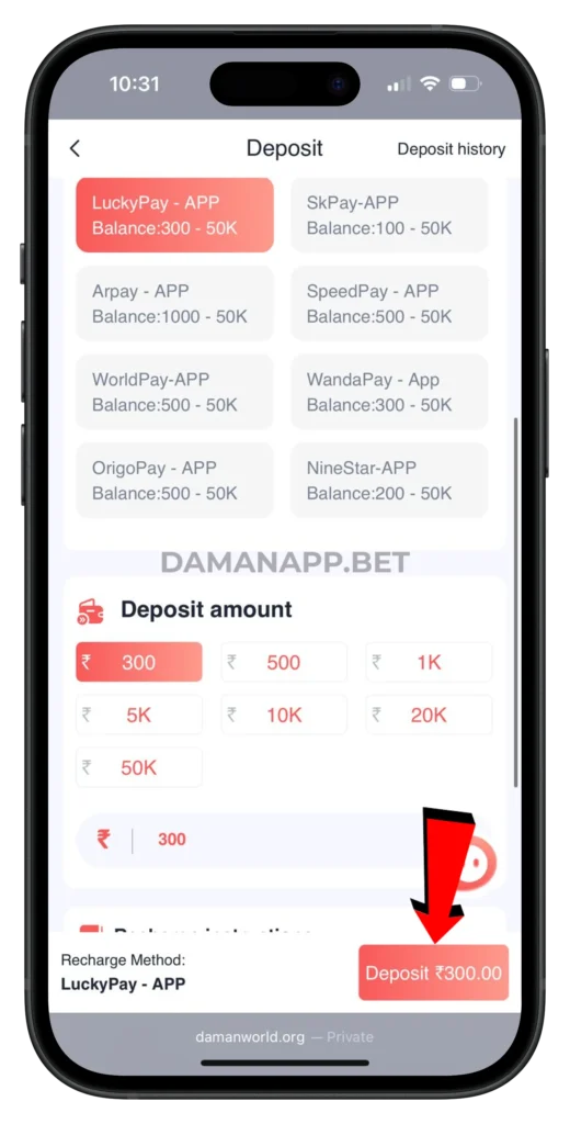 daman -deposit-page